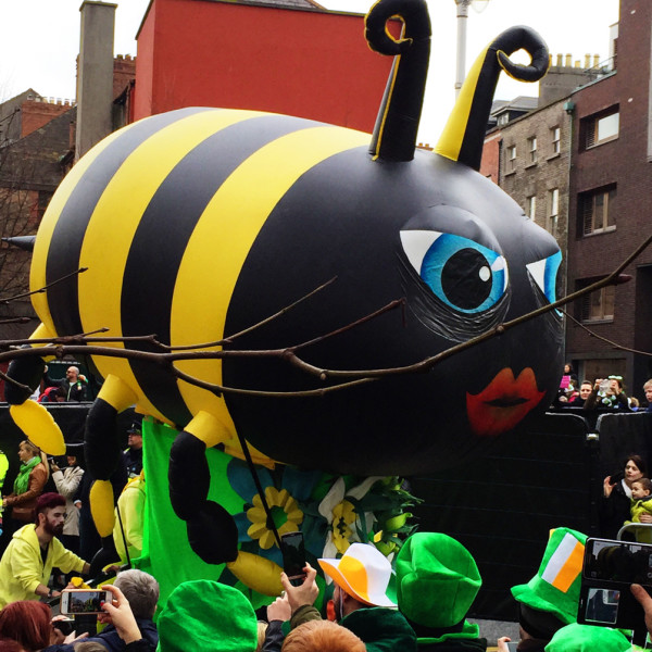 St Patrick's day in Dublin