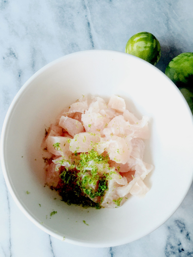 lime zest ceviche_the ceviche project by gourmet project