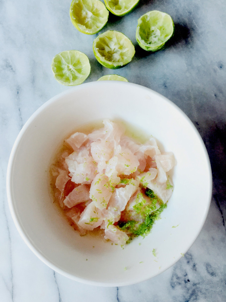 lime zest ceviche_the ceviche project by gourmet project