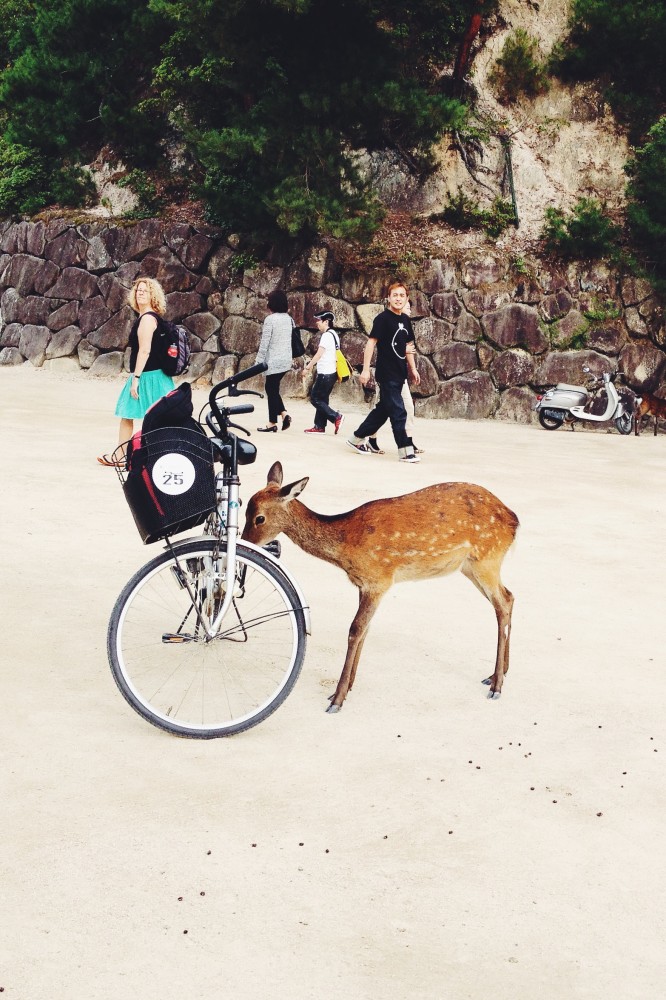 foodtrotting japan by gourmet project