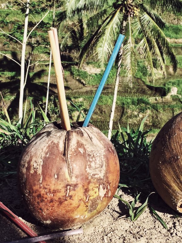slow living in Bali: rice fields & young coconuts