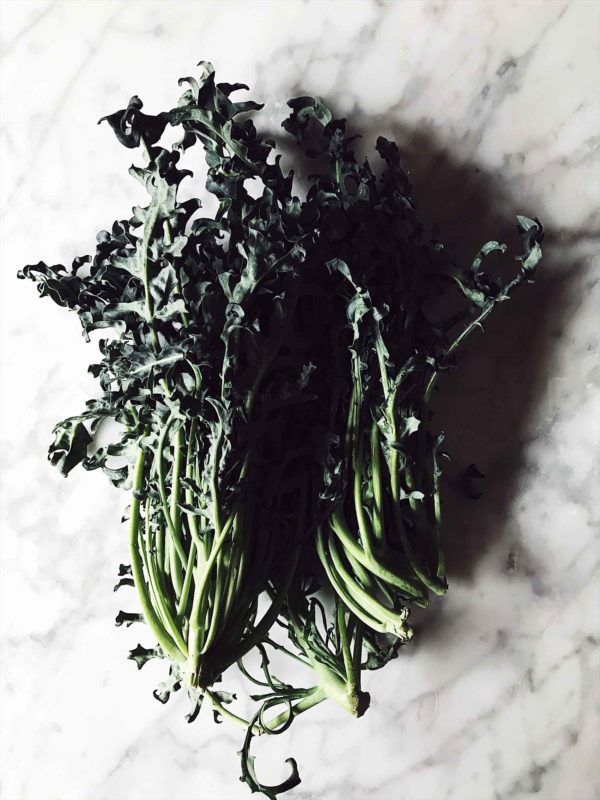 minestra nera: an Italian cabbage variety