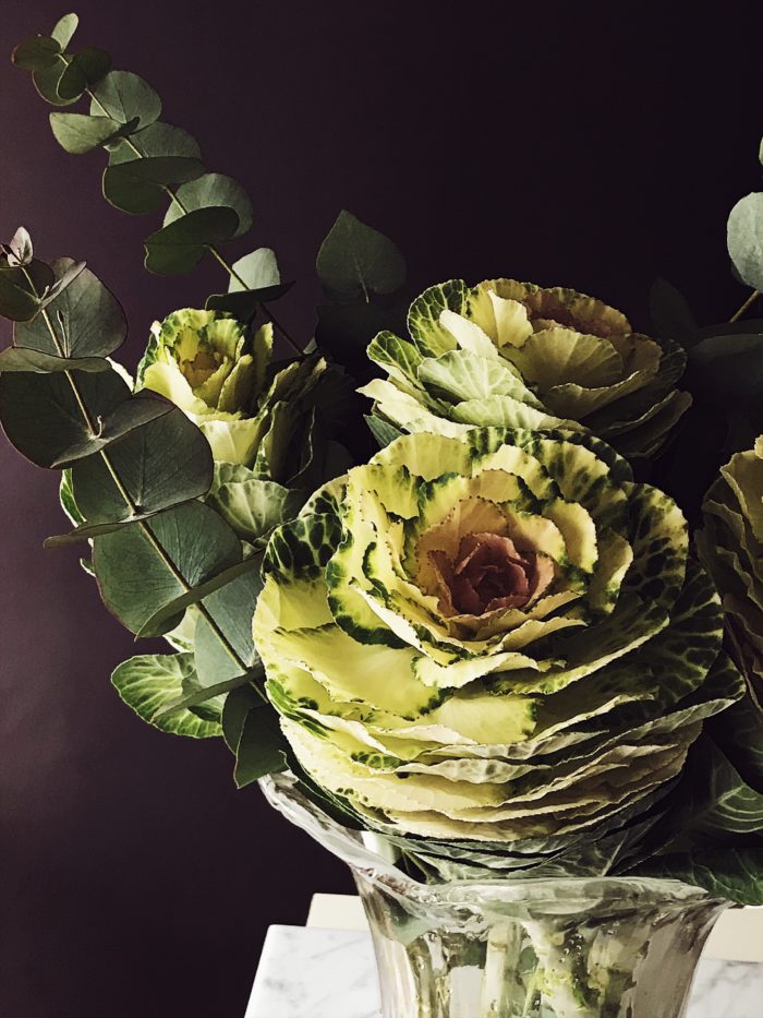 brassica flowers