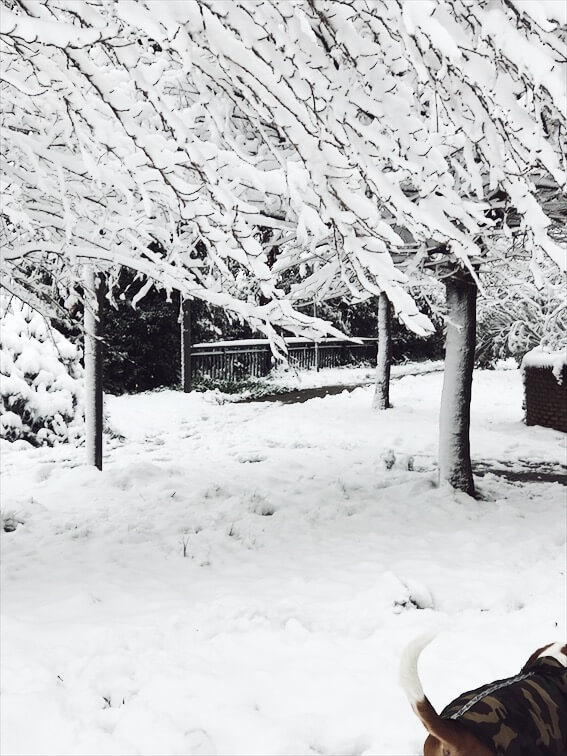 snowstorm in Rome view of my neighborhood snowstorm in Rome 2018