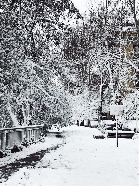 snowstorm in Rome street views snowstorm in Rome #rome