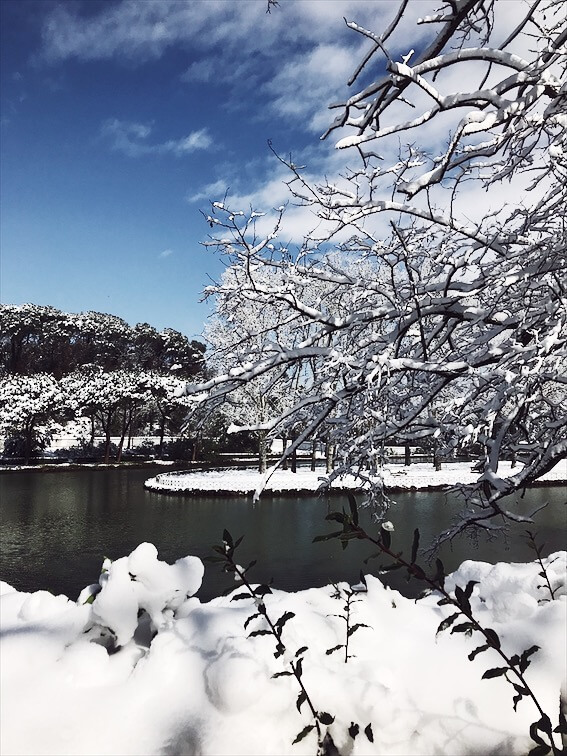 snowstorm in Rome landscapes snowstorm in Rome beautiful landscape
