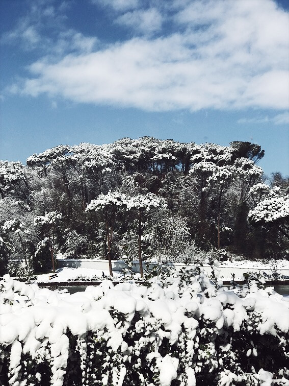snowstorm in Rome Villa Ada snowstorm in Rome pics of Villa Ada