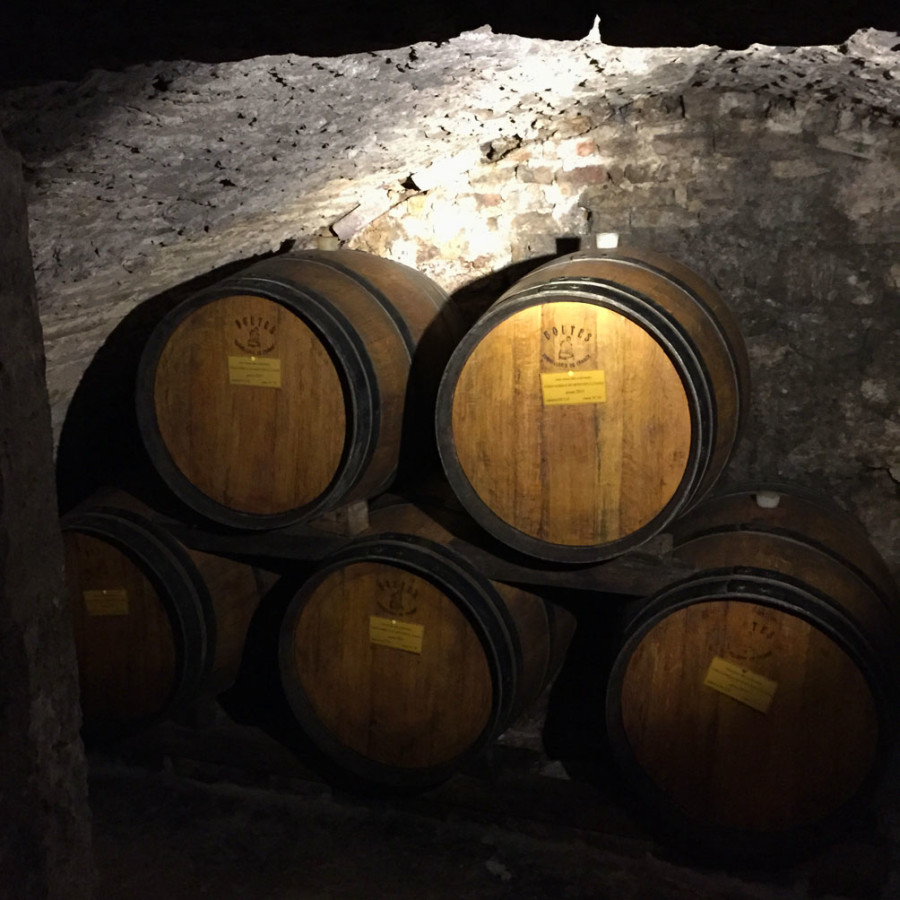 Montepulciano's wine tour