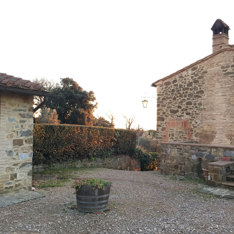 winery in Montalcino