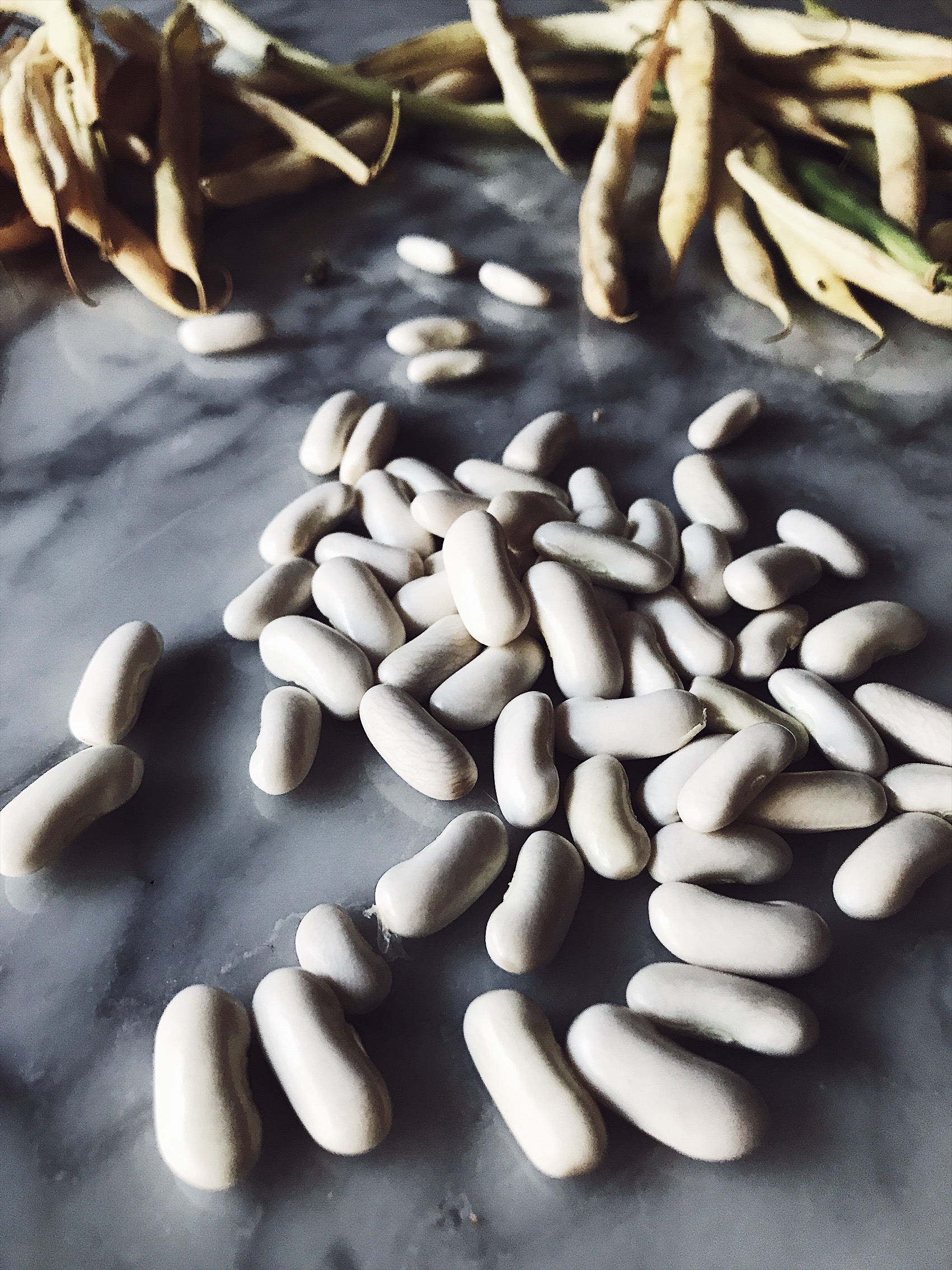 cannellini beans Tuscan recipe #gourmetproject #italianrecipes cannellini beans Tuscan recipe