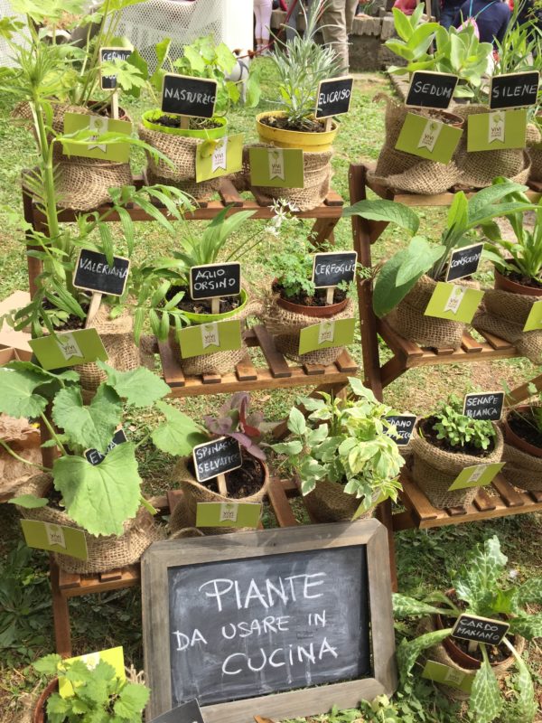 I love Floracult: the first of my Spring Traditions. It's a great flower fair in Rome, in the Fendi sister's manor in the countryside, where you can find wonderful, colorful, extravagant things. I made a few pictures to show you the beauty of this outdoors festival.