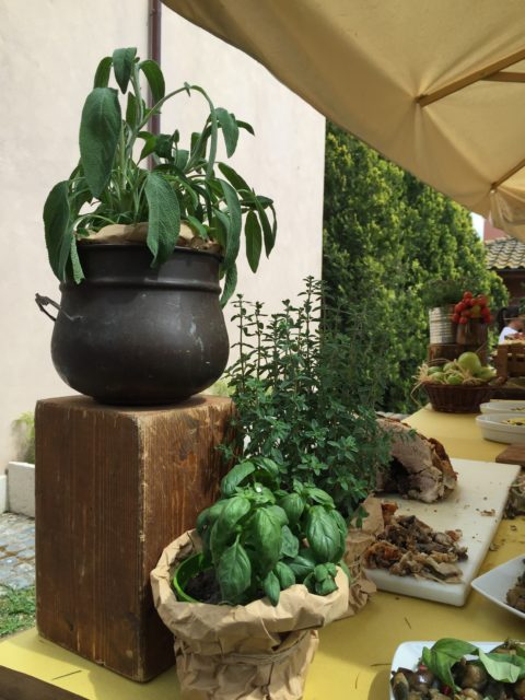 I love Floracult: the first of my Spring Traditions. It's a great flower fair in Rome, in the Fendi sister's manor in the countryside, where you can find wonderful, colorful, extravagant things. I made a few pictures to show you the beauty of this outdoors festival.