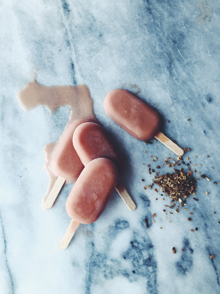 coconut milk, spices, honey and popsicle molds: the chai tea popsicles recipe