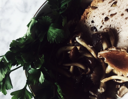 Italian mushroom soup with parmesan broth