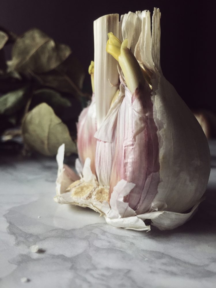 Ceviche is always delicious, but sometimes it is cooked, and flowery. Like this ecuadorian shrimp ceviche with wildflowers, sal gris, red onion and lemon juice.