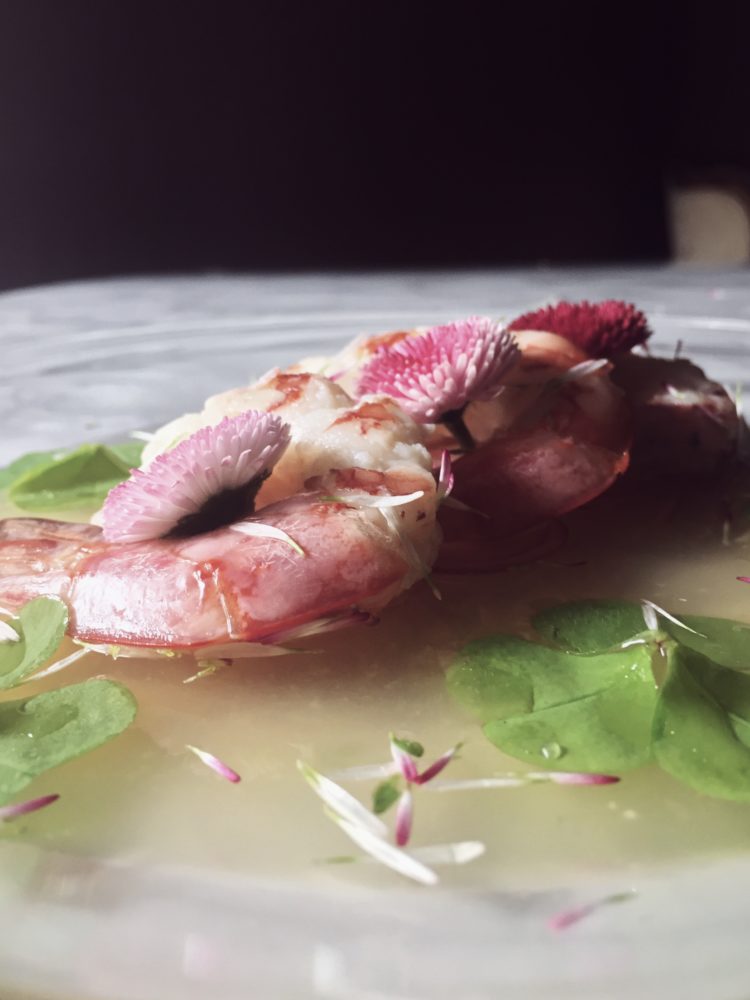 Ceviche is always delicious, but sometimes it is cooked, and flowery. Like this ecuadorian shrimp ceviche with wildflowers, red onion and lemon juice.