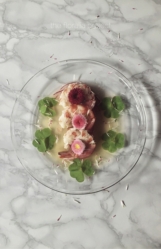 Ceviche is always delicious, but sometimes it is cooked, and flowery. Like this ecuadorian shrimp ceviche with wildflowers, red onion and lemon juice.