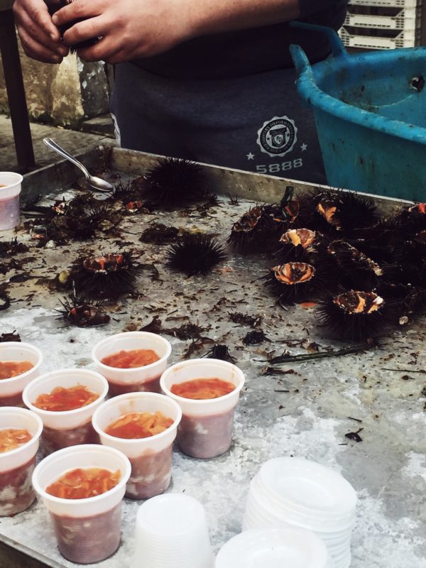 About Ortygia’s foodtrotting: one of the must see things (and maybe my favorite) there is the fish market. You will be entertained by singing fishers, amazed by the beauty of food and delighted by fresh oysters and cold white wine.