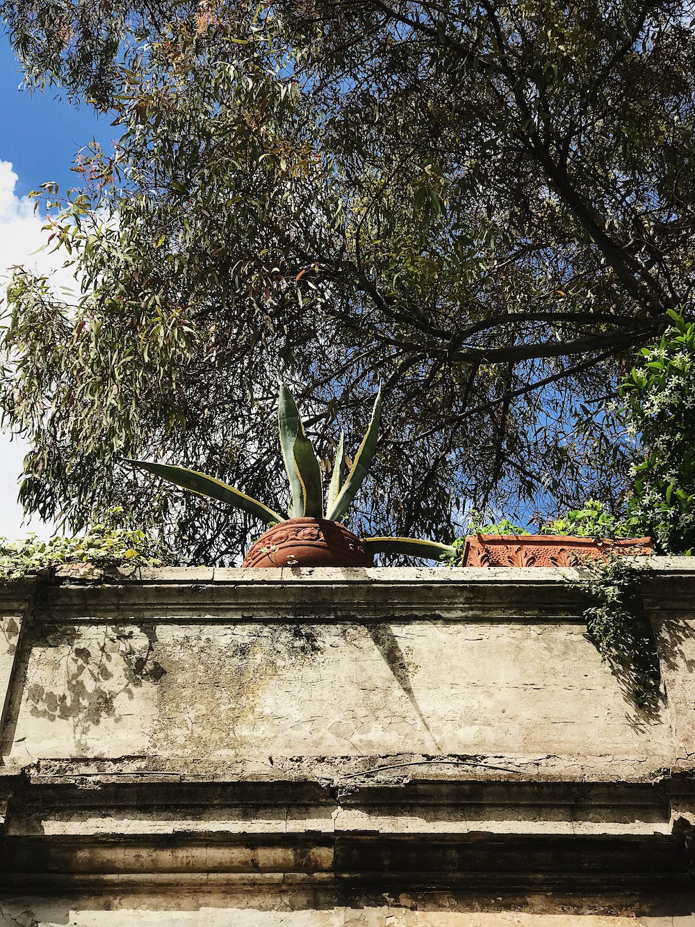 Sicily markets