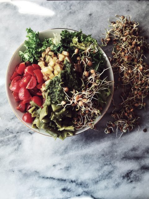 roasted potato and pesto salad with curly endive, tomatoes, sugar snaps and sprouts