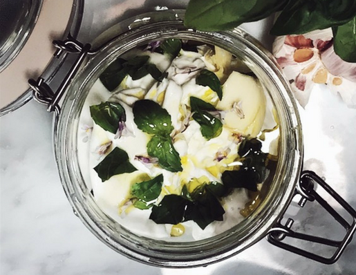 burrata appetizer ideas: basil marinated burrata