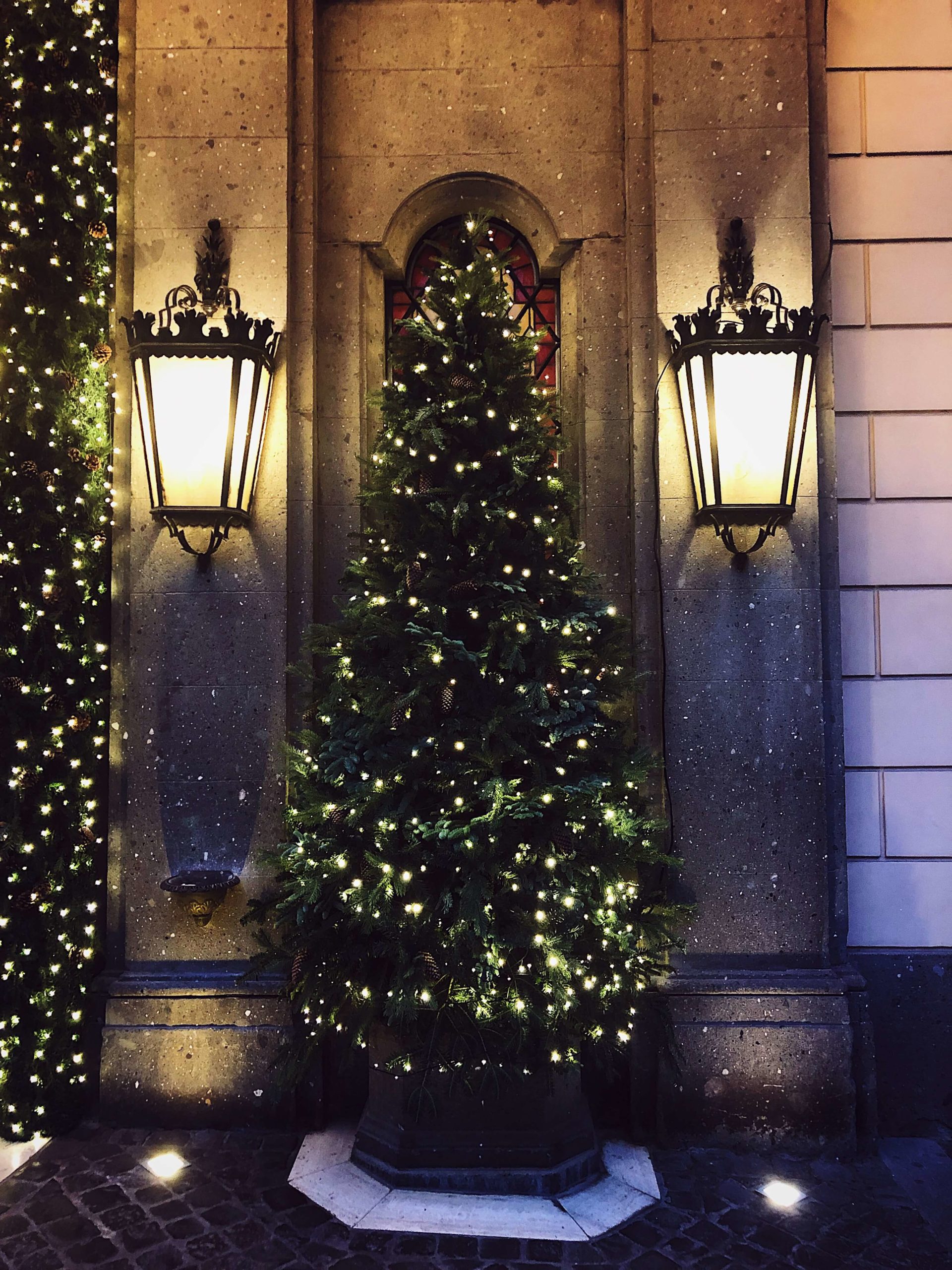 Christmas tree in Rome