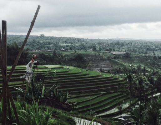 bali travel diary