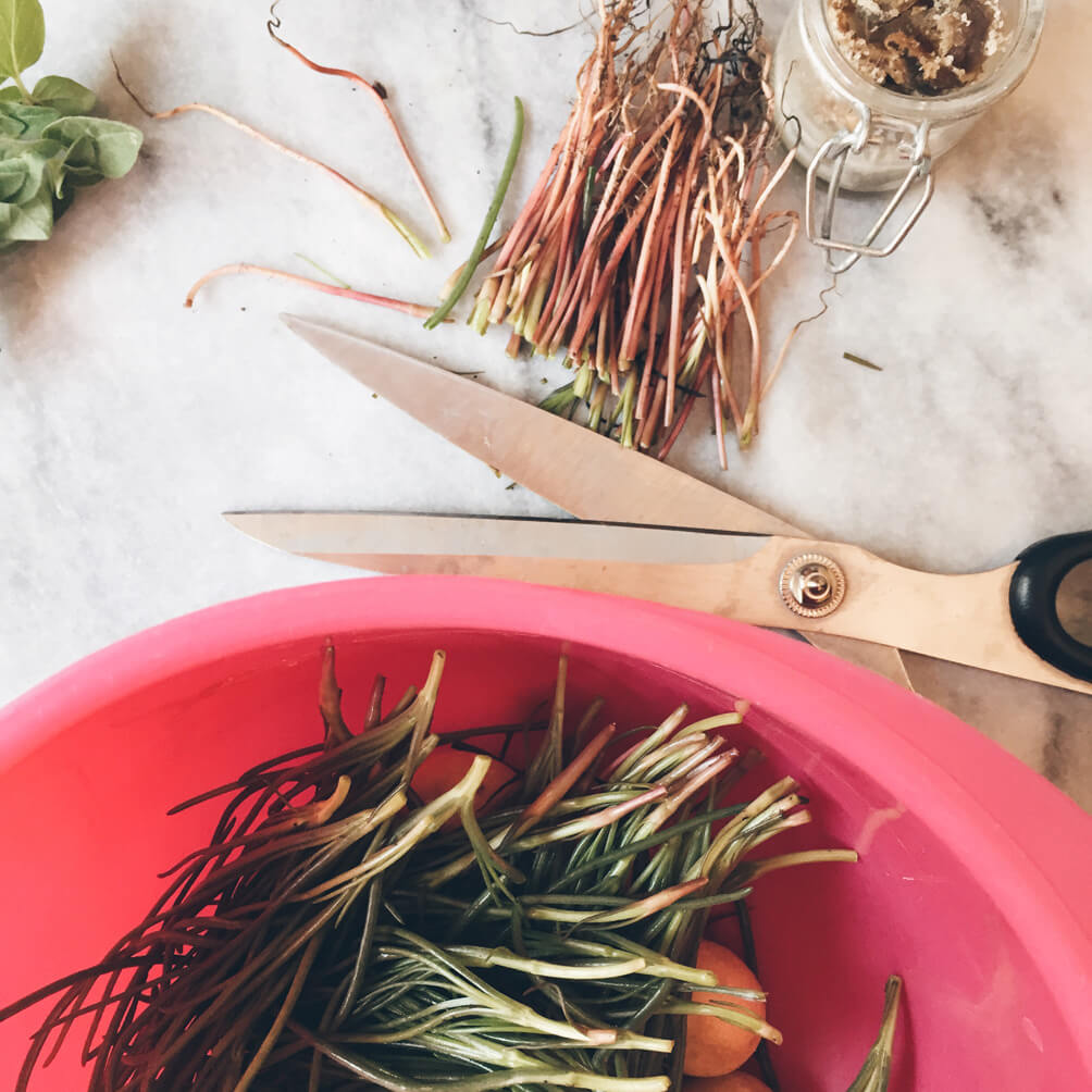 agretti and spring potatoes recipe