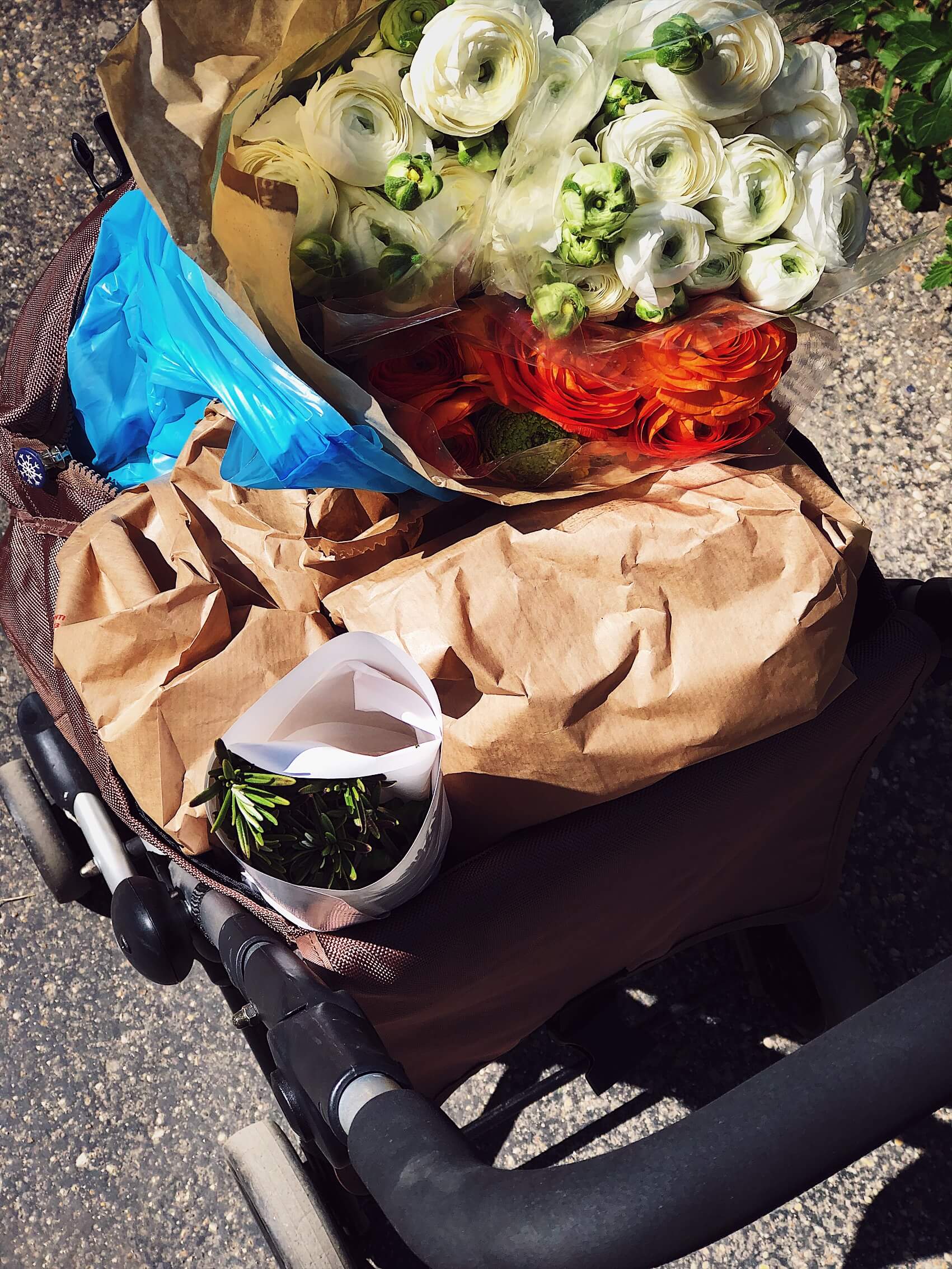 italian eating groceries #gourmetproject