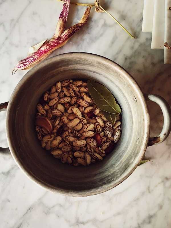 shelled borlotti beans in a pot with water