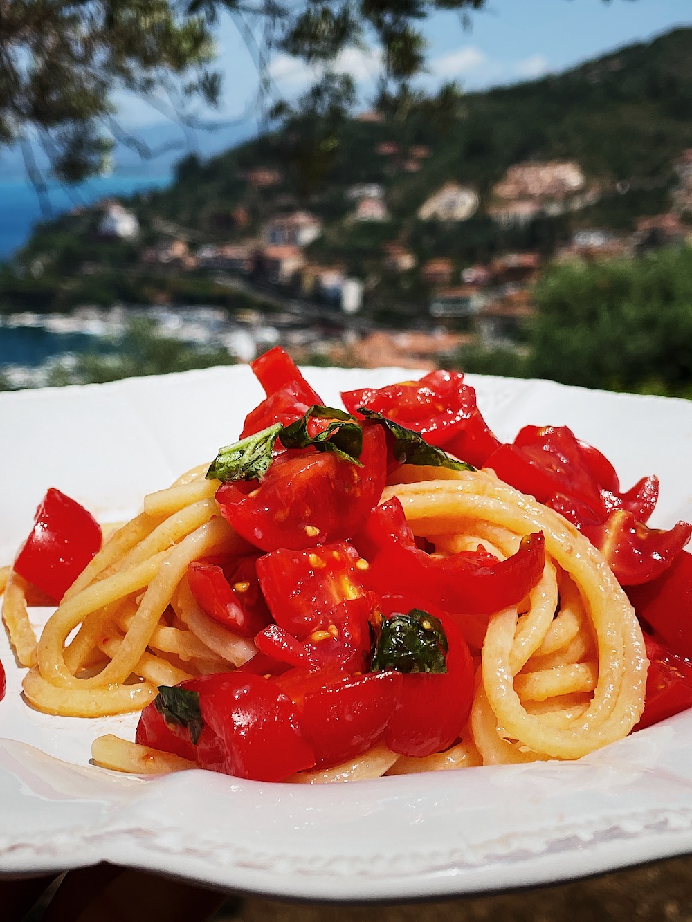 Pasta cherry tomatoes, garlic, and basil