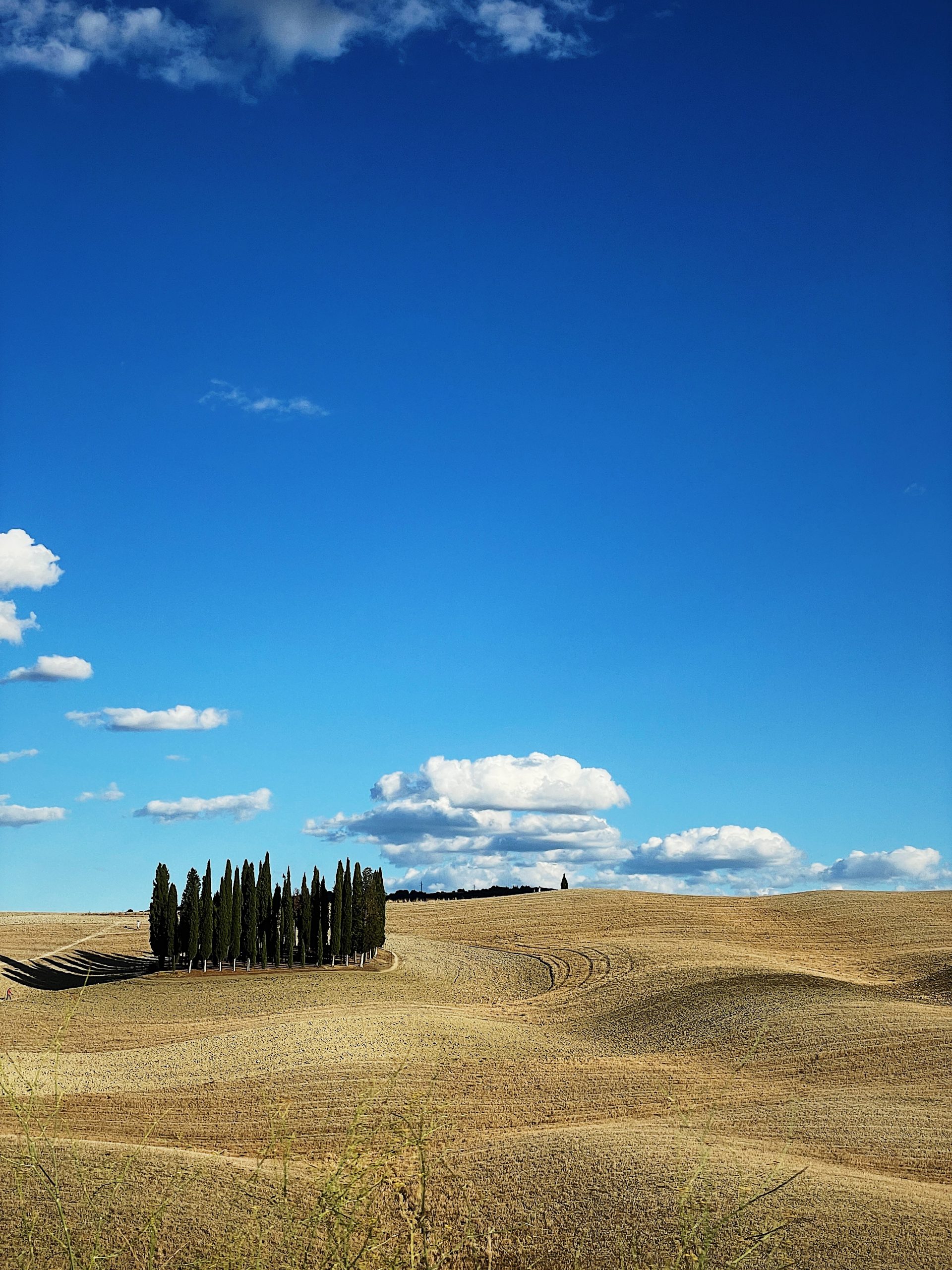 home life in Rome: VAL D'ORCIA
