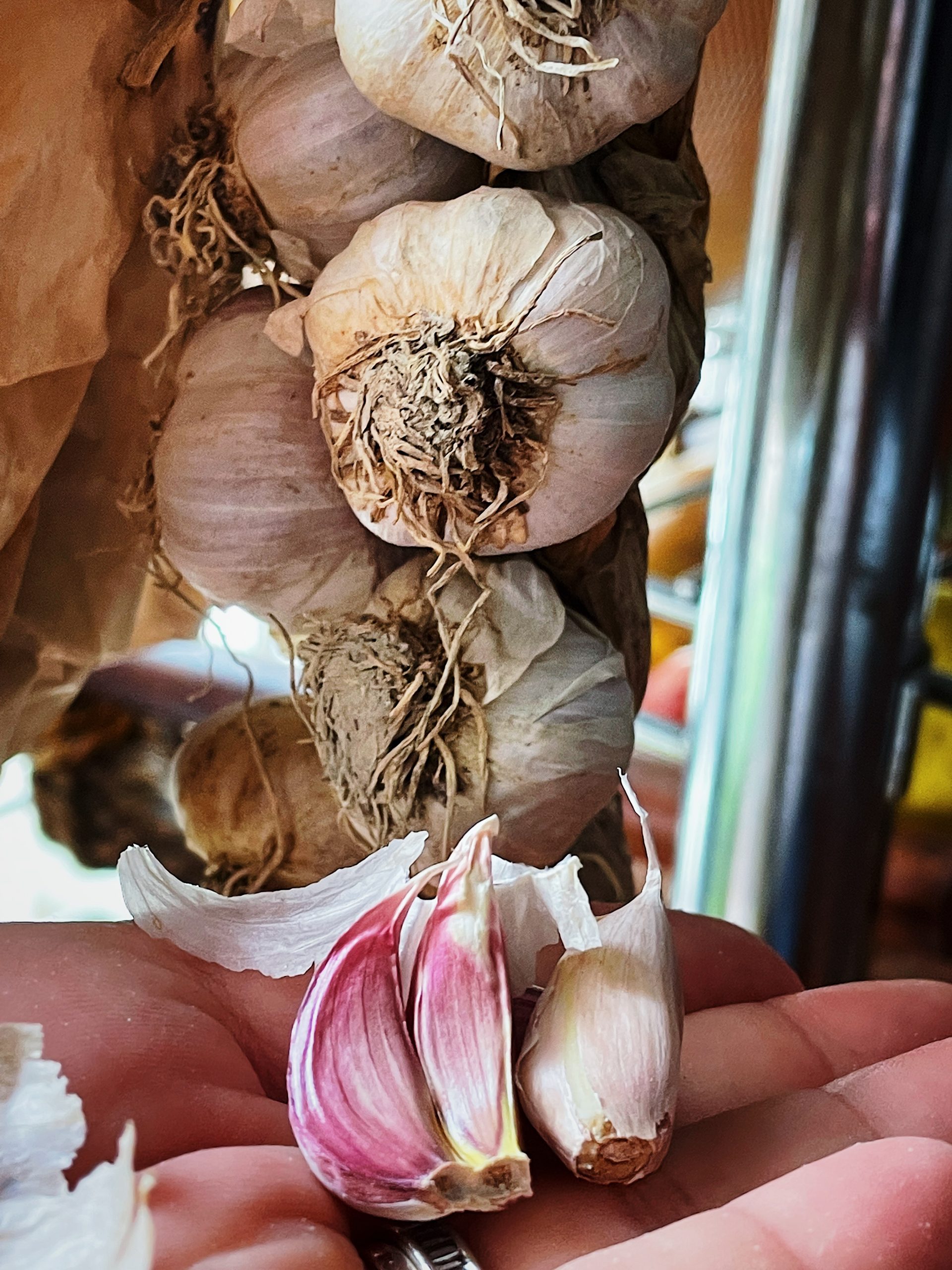 life in Rome: RED GARLIC