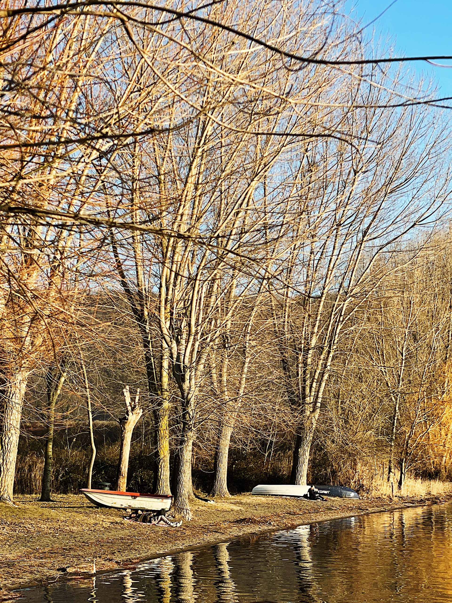 life in Rome: lago di Vico