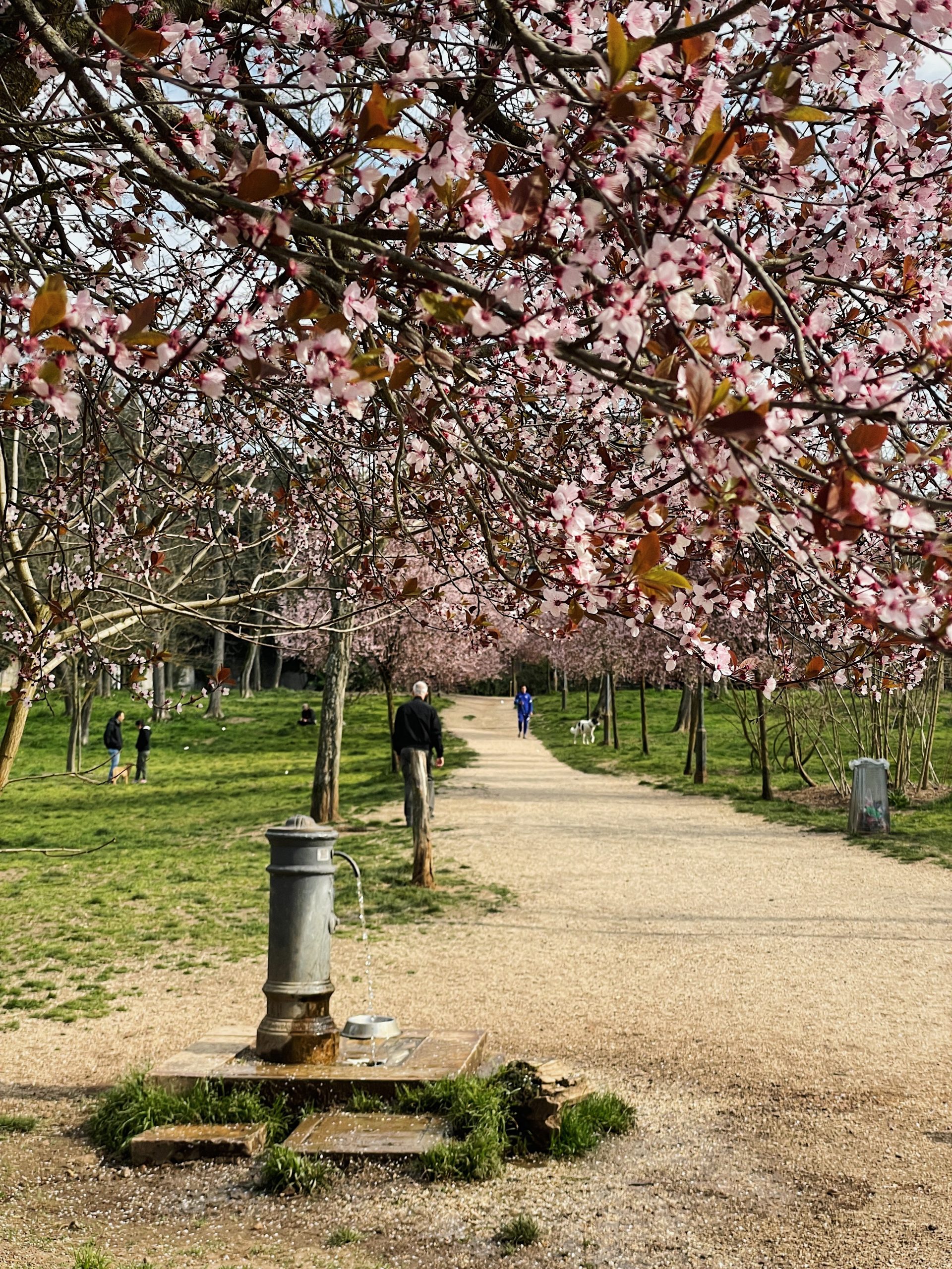 life in Rome: SPRING PLACES