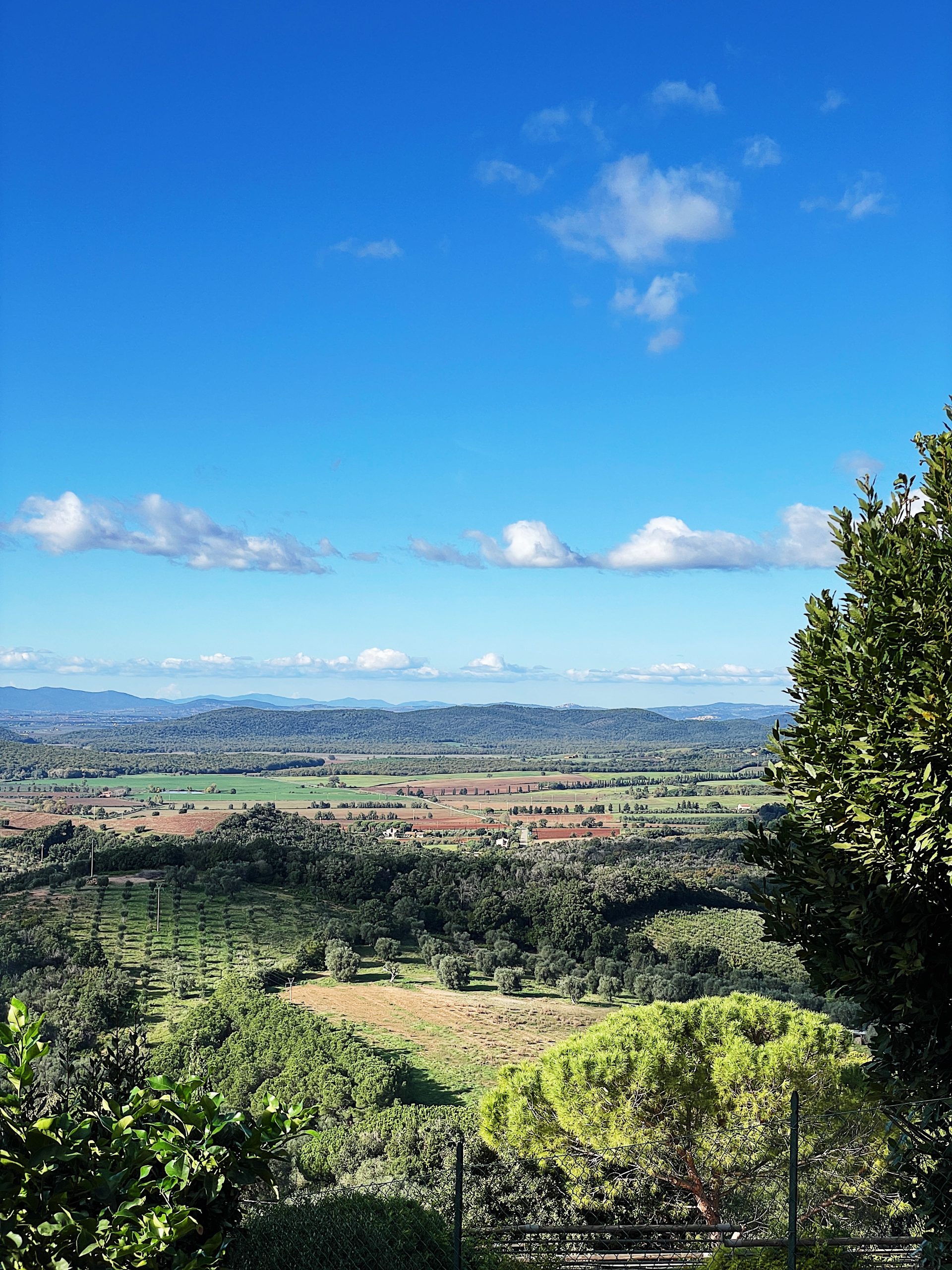 maremma