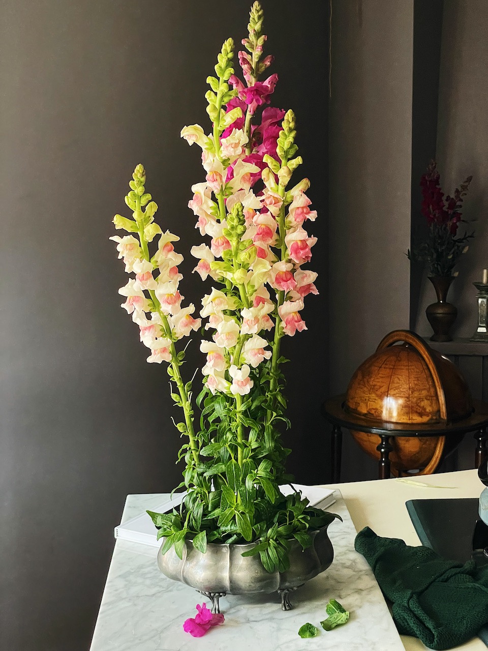 ikebana attempt