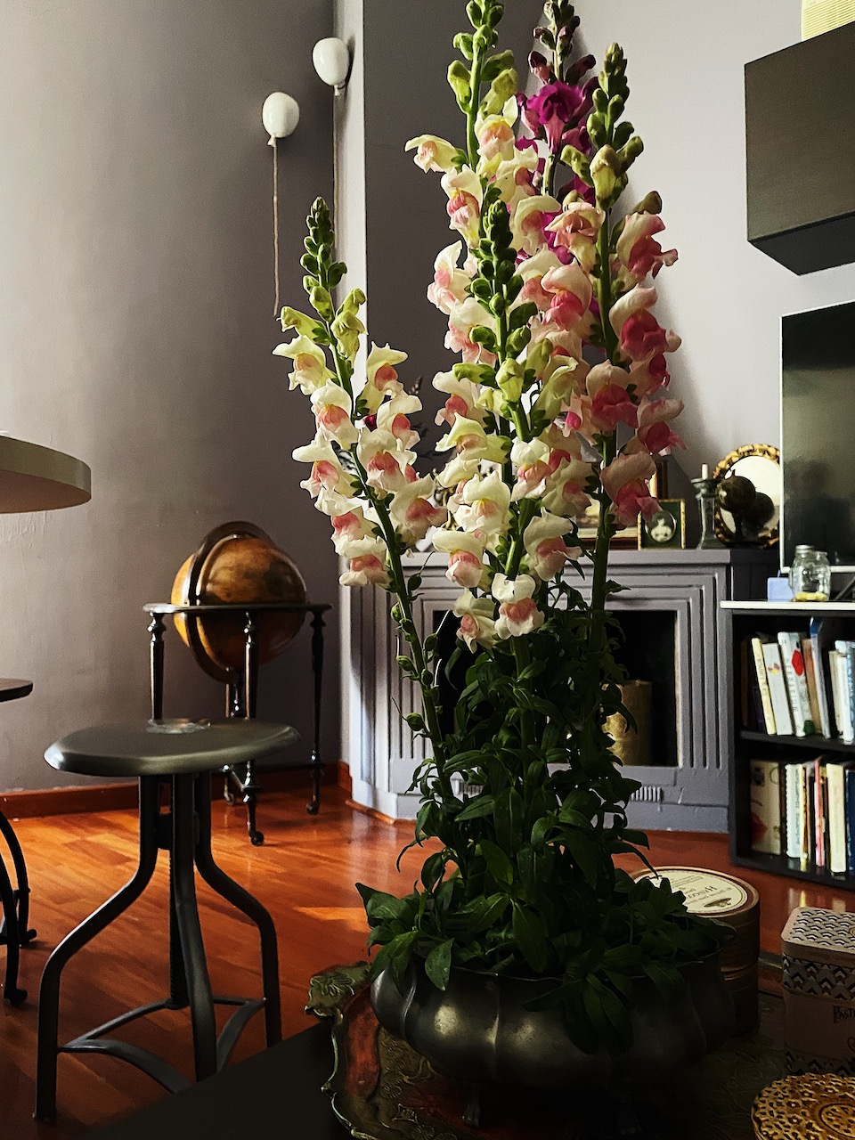 Italian real house