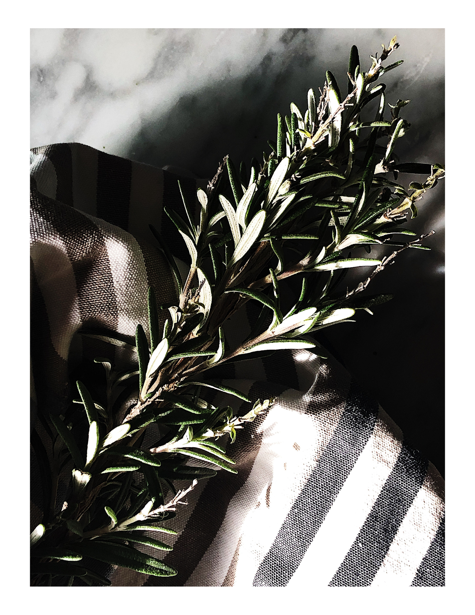 rosemary sprig