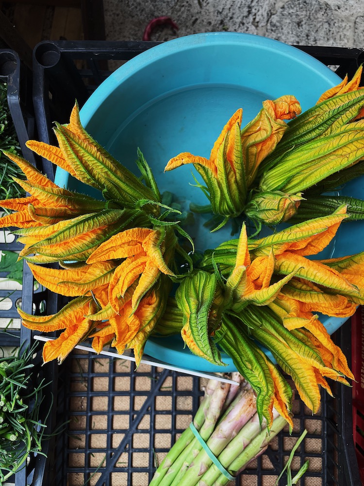 zucchini blossoms
