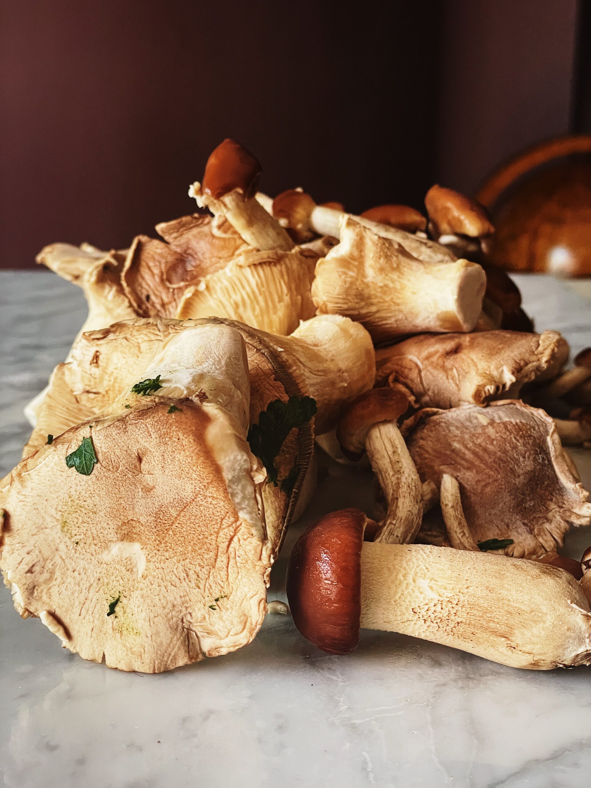 pasta with mushrooms Italian easy recipe