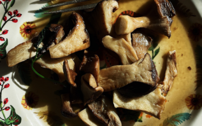 How to cook King Oyster mushrooms (Cardoncelli) the Italian way