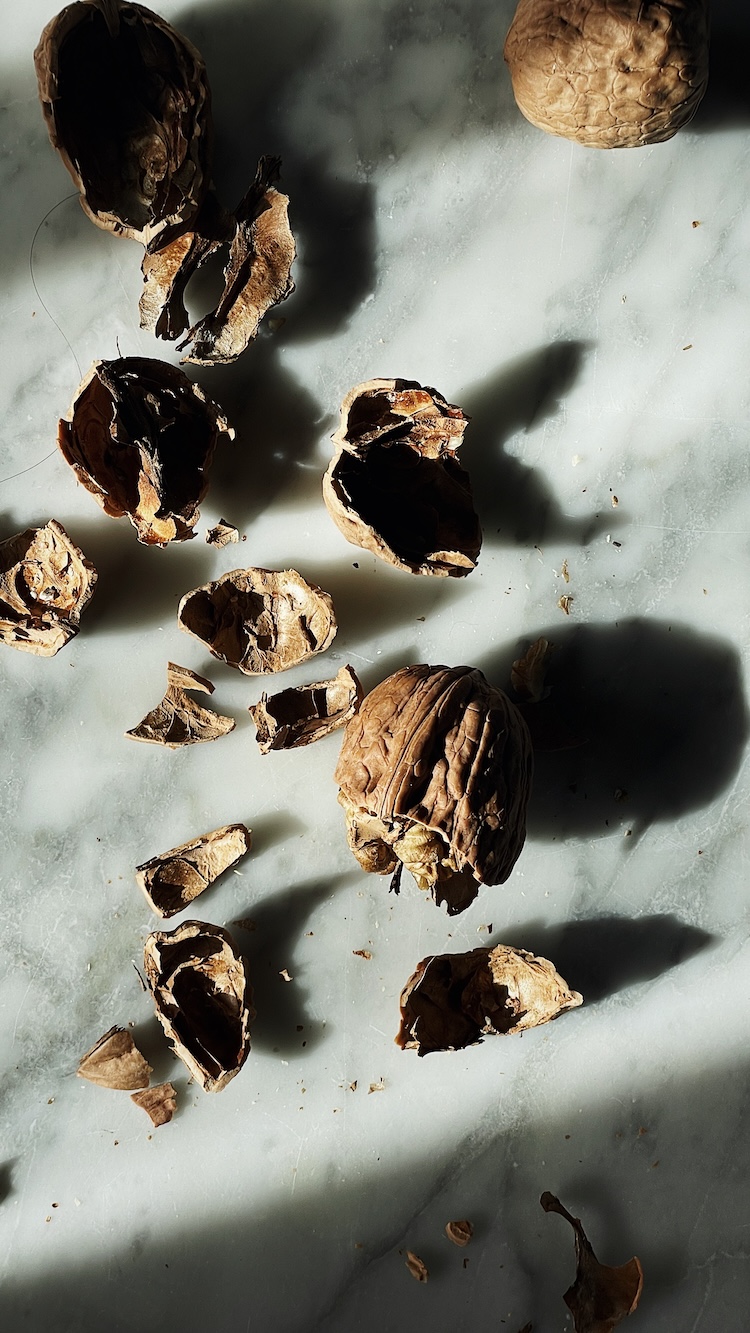 italian radicchio pesto with walnuts