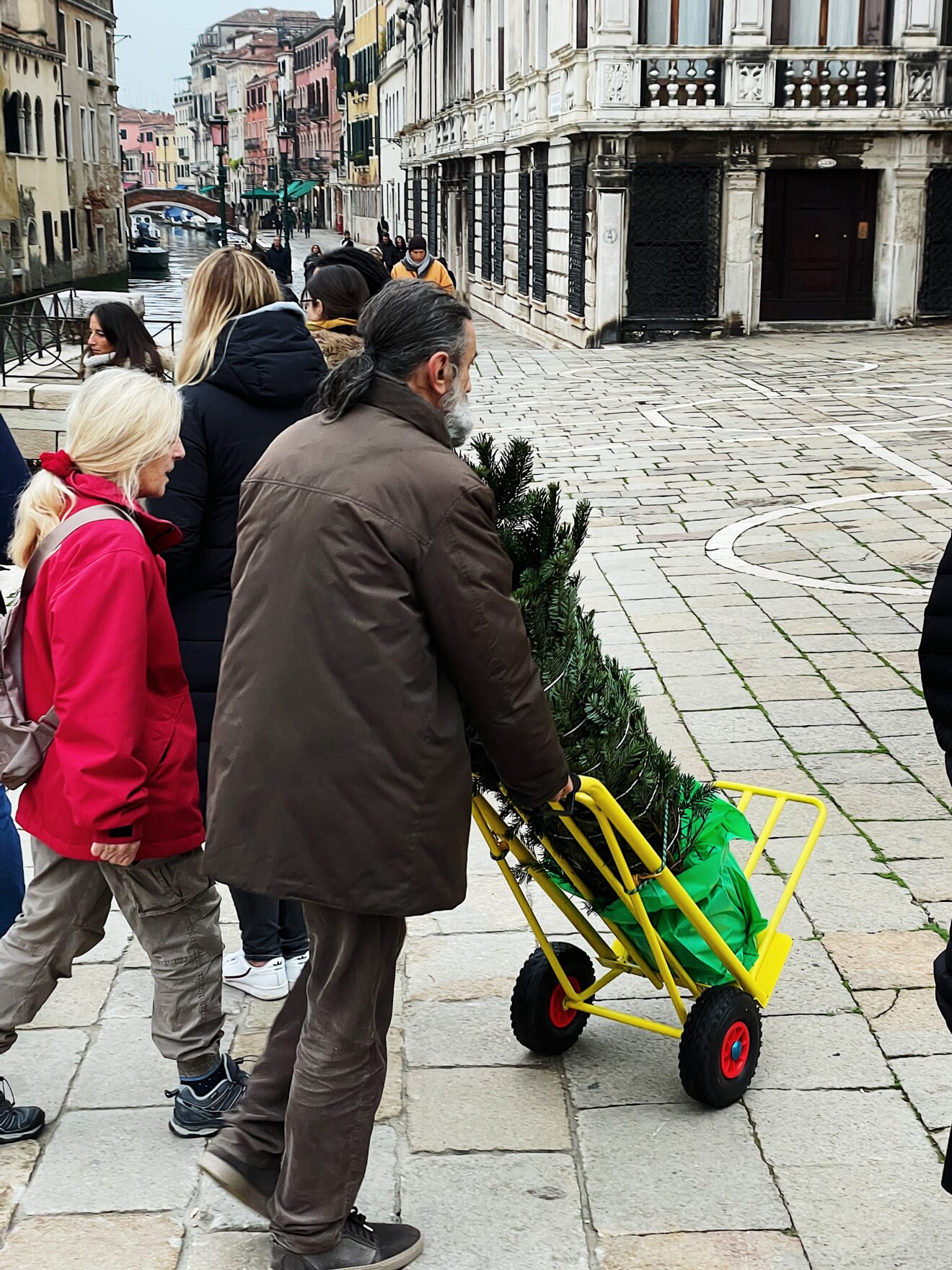 Christmas trees in Venice
