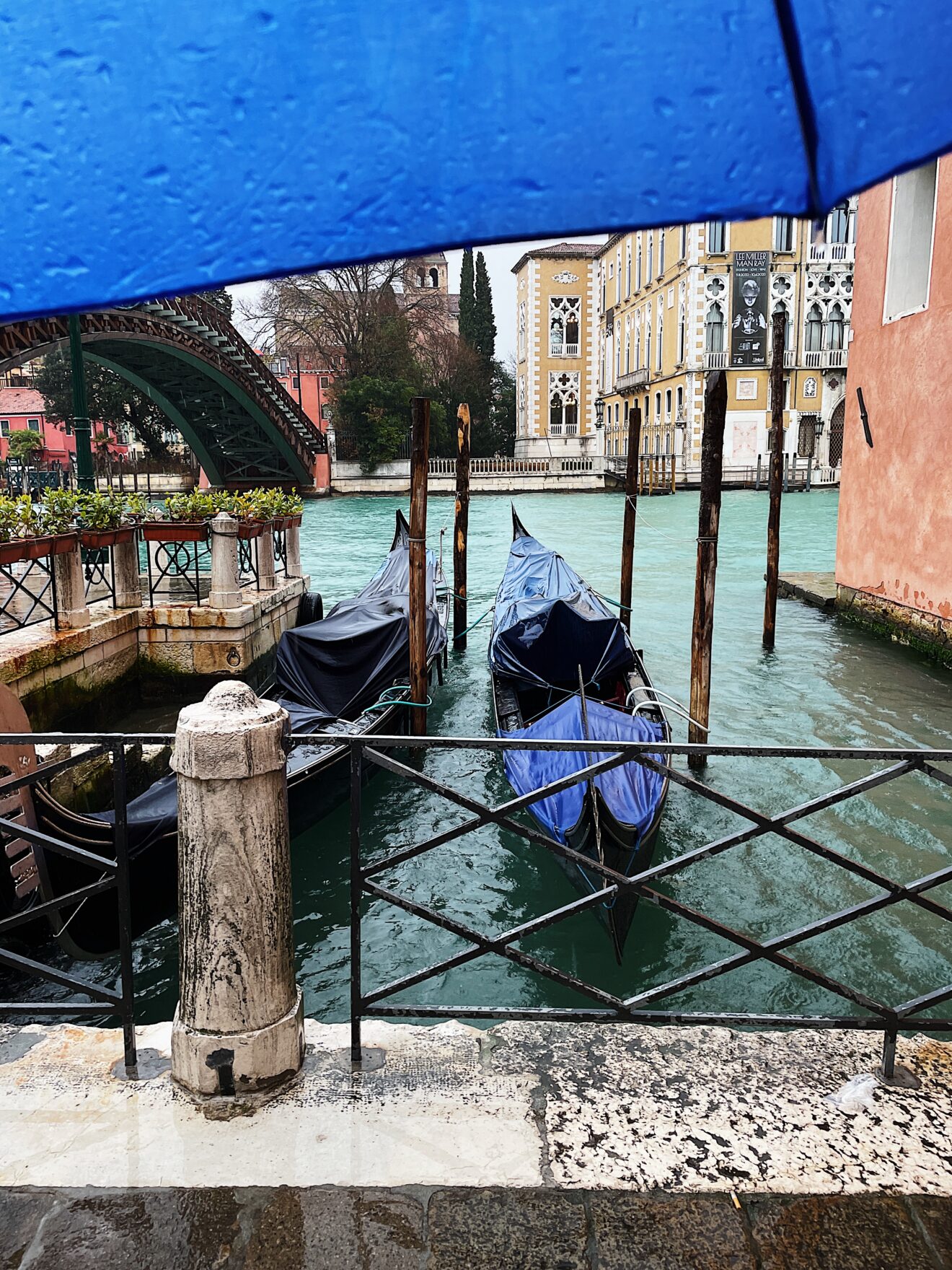 Venice when it rains