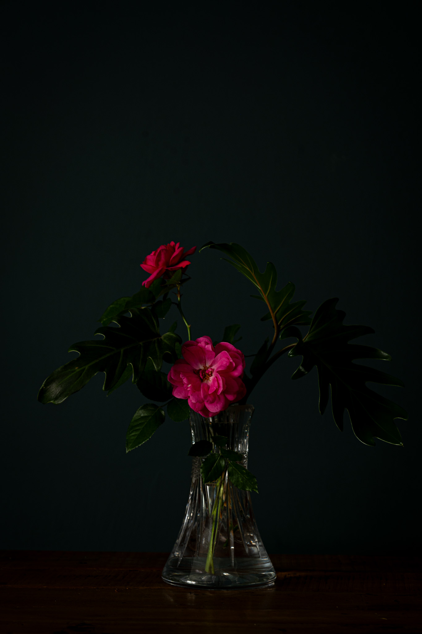 Streghe, fine art photograph of a glass vase with red flowers with leaf wings emerging from a dark background.